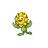 Sunflora in Black & White