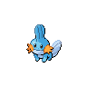 Mudkip, Front, in Black 2 & White 2