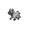 Poochyena, Front, in Black 2 & White 2
