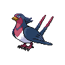 Swellow, Front, in Black & White