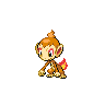 Chimchar, Front, in Black 2 & White 2