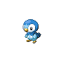Piplup, Front, in Black 2 & White 2