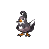 Staravia in Black & White