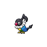 Chatot in Black & White