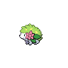 Shaymin Land Forme in Black & White