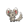Minccino, Front, in Black & White