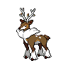 Sawsbuck Winter Form, Front, in Black & White