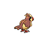 Pidgey, Back, in Black 2 & White 2