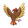 Pidgeotto, Back, in Black & White