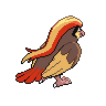 Pidgeot, Back, in Black & White