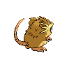 Raticate, Back, in Black 2 & White 2