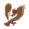 Fearow, Back, in Black & White