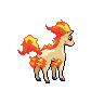 Ponyta, Back, in Black & White