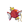 Magikarp, Back, in Black 2 & White 2