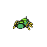 Spinarak, Back, in Black & White