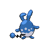 Azumarill, Back, in Black 2 & White 2