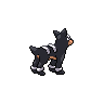Houndour, Back, in Black & White