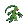 Grovyle, Back, in Black 2 & White 2