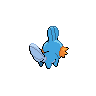 Mudkip, Back, in Black 2 & White 2