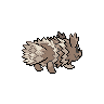 Zigzagoon, Back, in Black & White