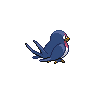 Taillow, Back, in Black & White