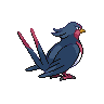 Swellow, Back, in Black & White
