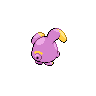 Whismur, Back, in Black & White