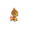 Chimchar, Back, in Black 2 & White 2
