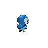 Piplup, Back, in Black 2 & White 2
