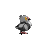 Pidove, Back, in Black & White