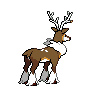 Sawsbuck Winter Form, Back, in Black & White