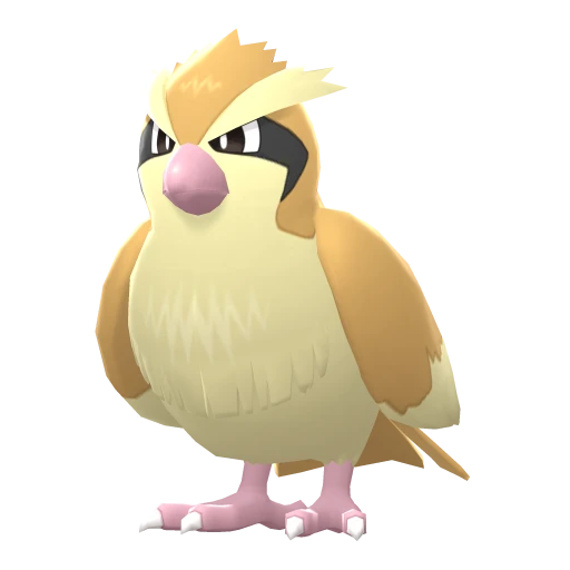 Pidgey in Brilliant Diamond & Shining Pearl
