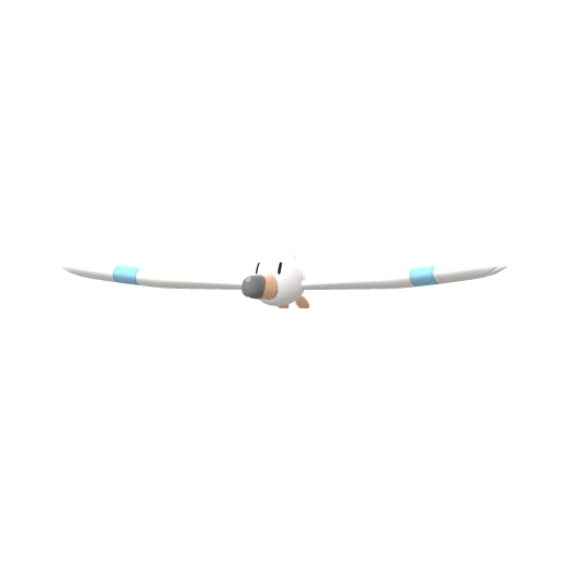 Wingull, Front, in Brilliant Diamond & Shining Pearl