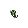 Caterpie