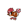 Pidgeotto