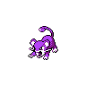 Rattata