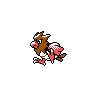 Spearow
