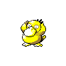 Psyduck