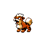 Growlithe
