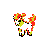 Ponyta