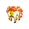 Rapidash