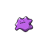 Ditto