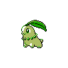 Chikorita