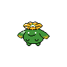 Skiploom