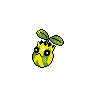 Sunkern