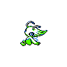 Celebi