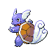 Wartortle in Diamond & Pearl