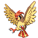 Pidgeotto in Diamond & Pearl