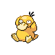 Psyduck, Front, in Diamond & Pearl