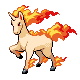 Rapidash in Diamond & Pearl